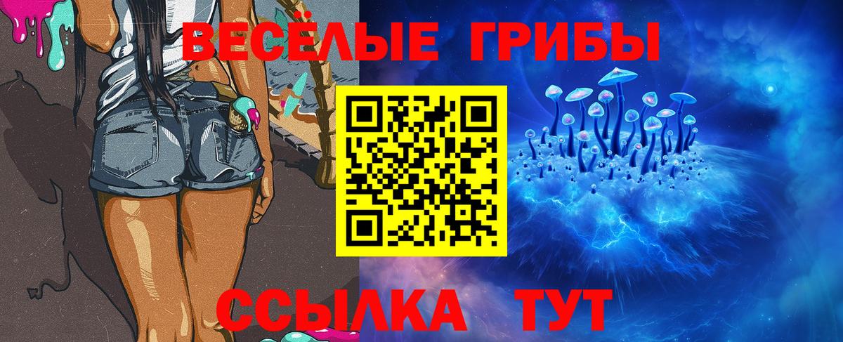 Галлюциногенные грибы MAGIC MUSHROOMS  Вход с VPN  Псилоцибиновые грибы Psilocybine cubensis  Ногинск 